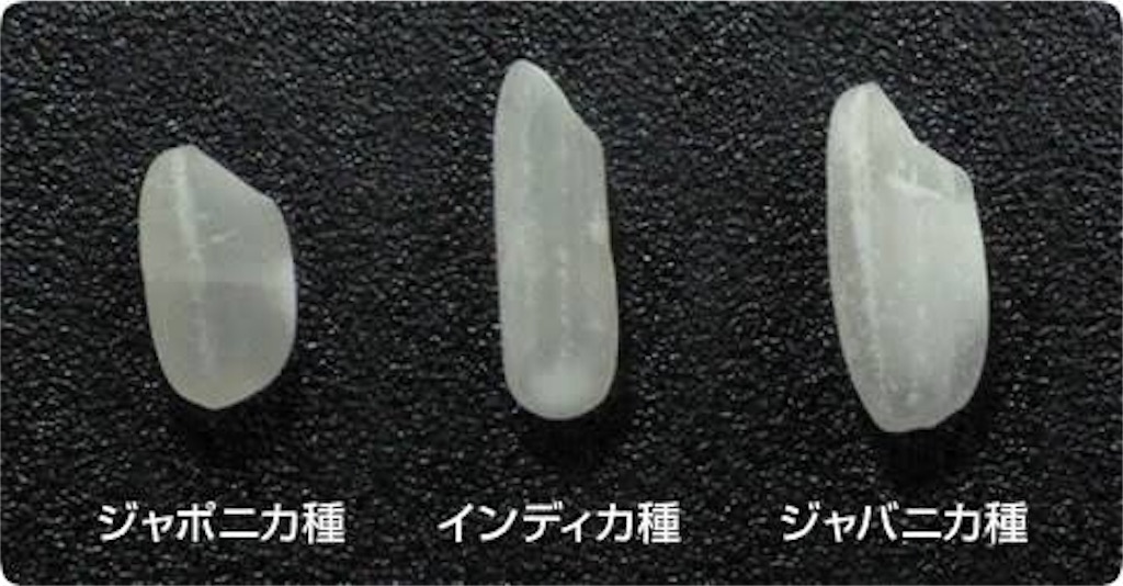f:id:ko-jimaryota:20180620162521j:image