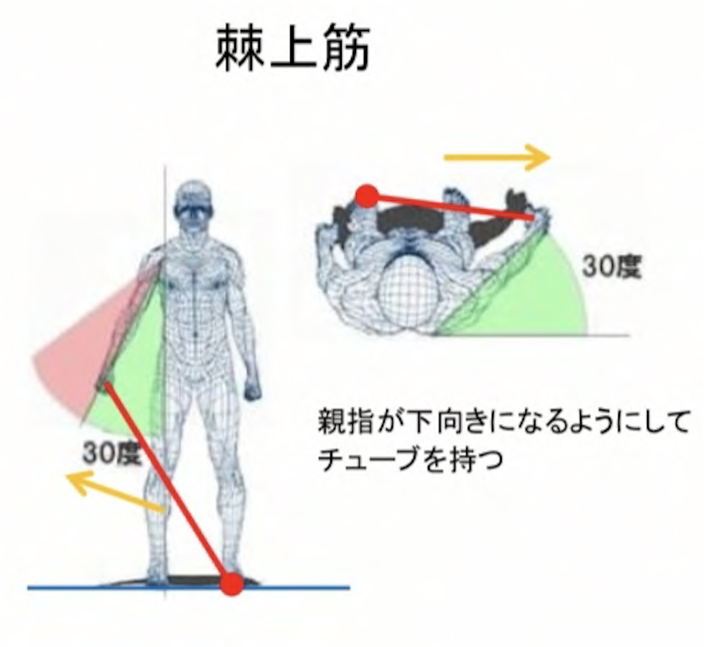 f:id:ko-san510:20210205231132j:image