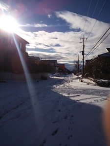 f:id:ko-tamu:20140209082745j:image