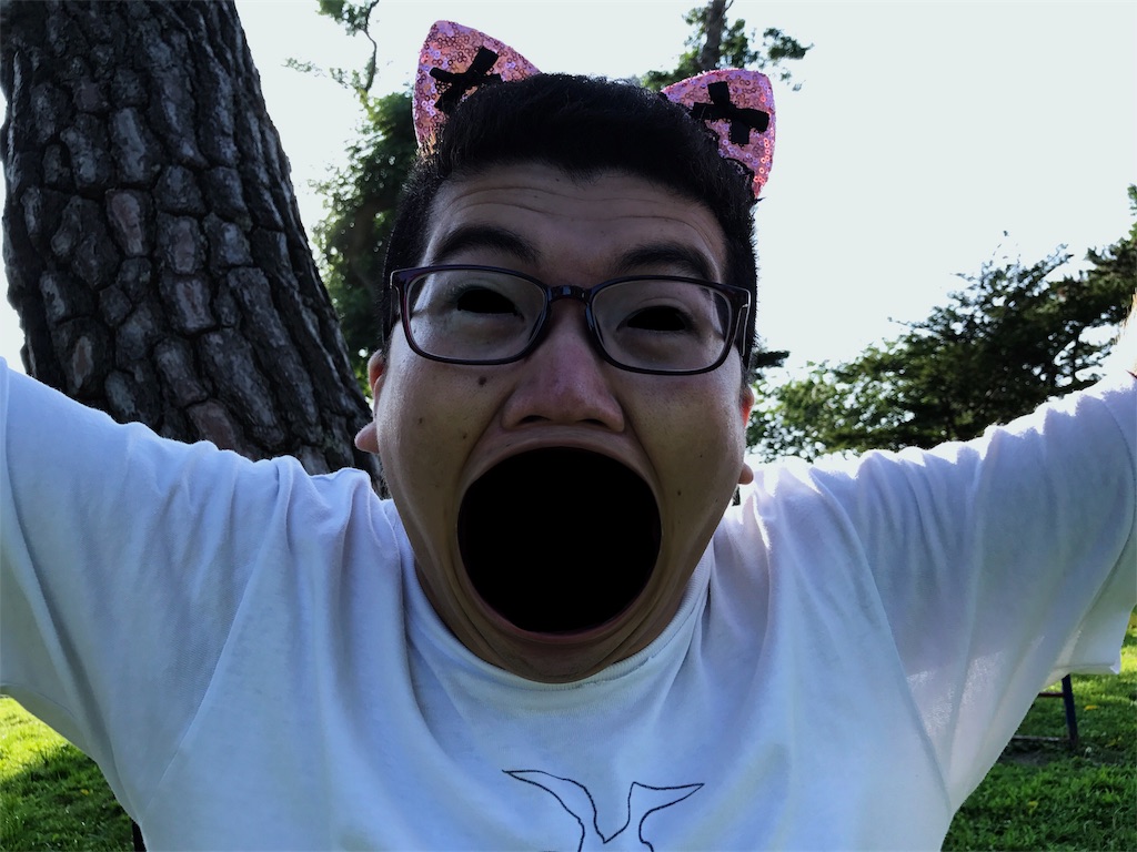 f:id:ko1529:20170827224441j:image