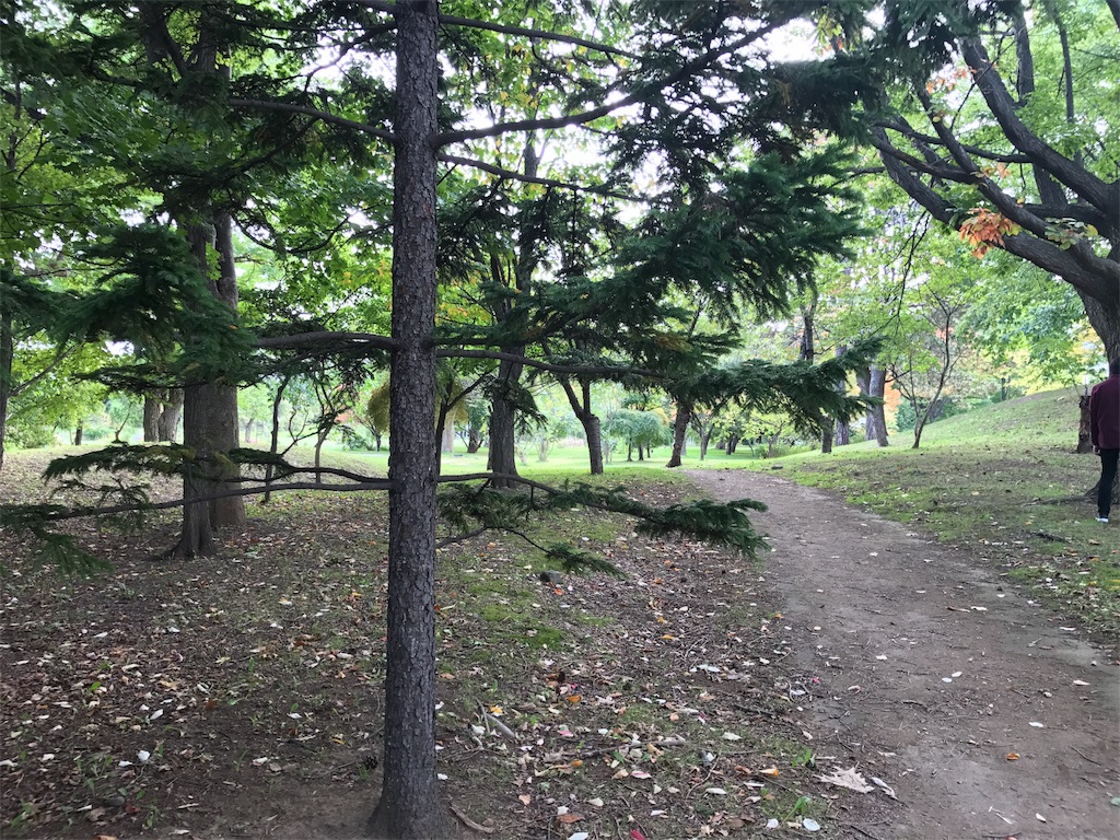 f:id:ko1529:20171006164306j:image