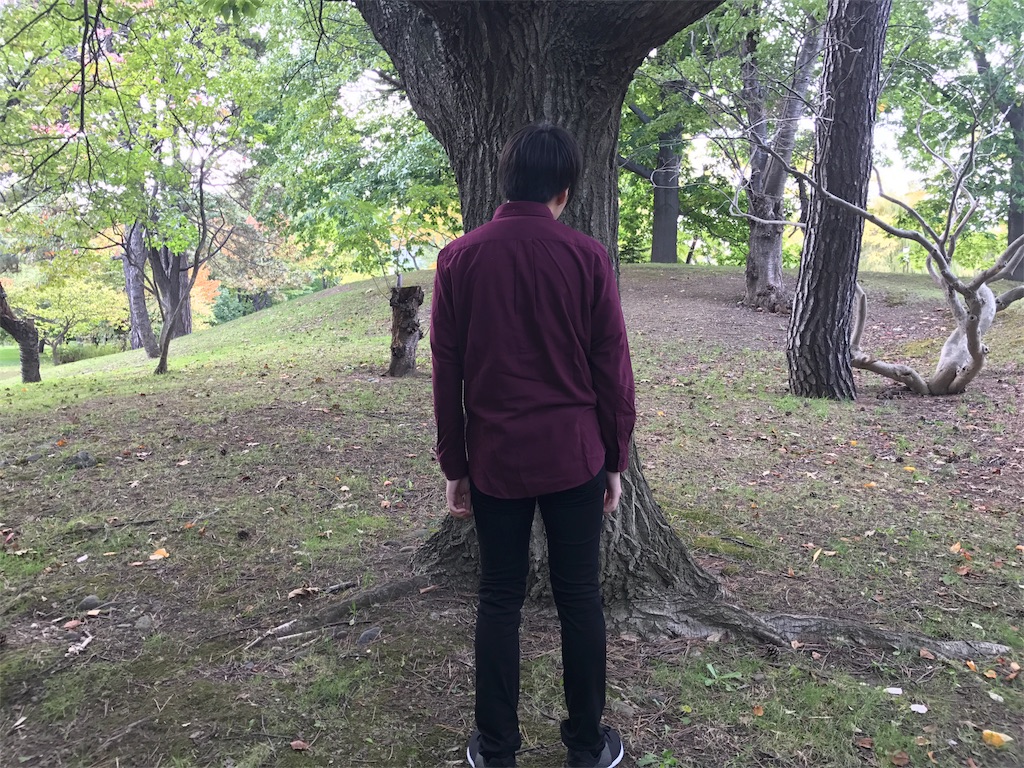 f:id:ko1529:20171006164351j:image