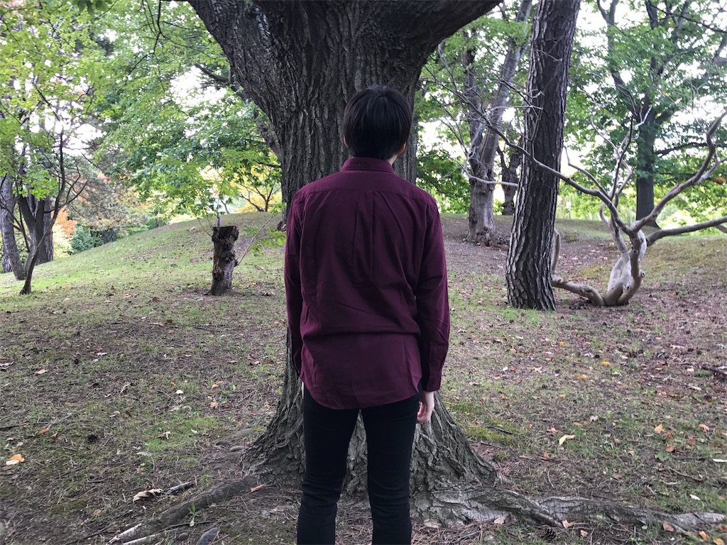 f:id:ko1529:20171006164555j:image