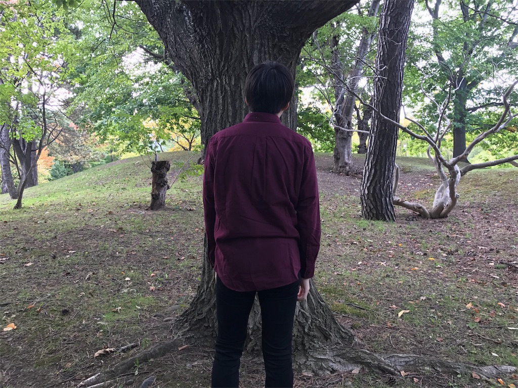 f:id:ko1529:20171006164658j:image