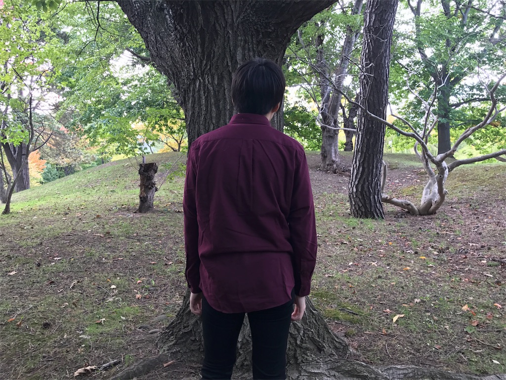 f:id:ko1529:20171006164717j:image