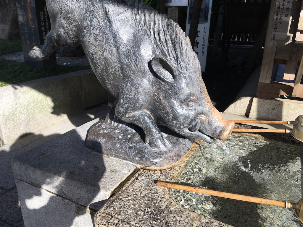 f:id:ko9rino4ppo:20190204200016j:image