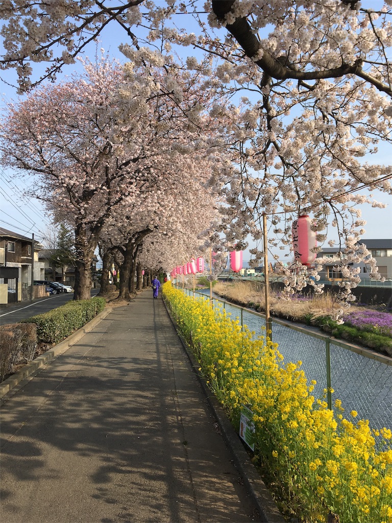f:id:ko9rino4ppo:20190424165439j:image f:id:ko9rino4ppo:20190424165439j:image