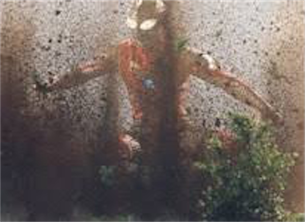 f:id:ko_819:20201208115949j:image