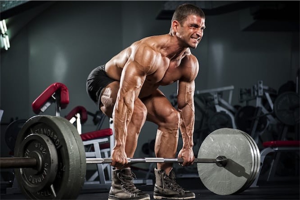 f:id:ko_fit:20200212080053j:image f:id:ko_fit:20200212080053j:image
