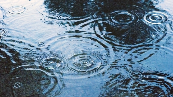 6月１３日 青い雨 Blue Rain