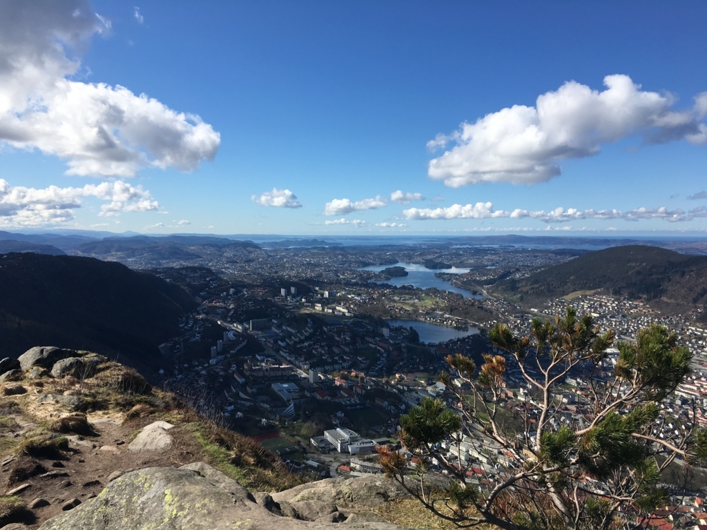 f:id:koakI:20180507234216j:plain f:id:koakI:20180507234216j:plain