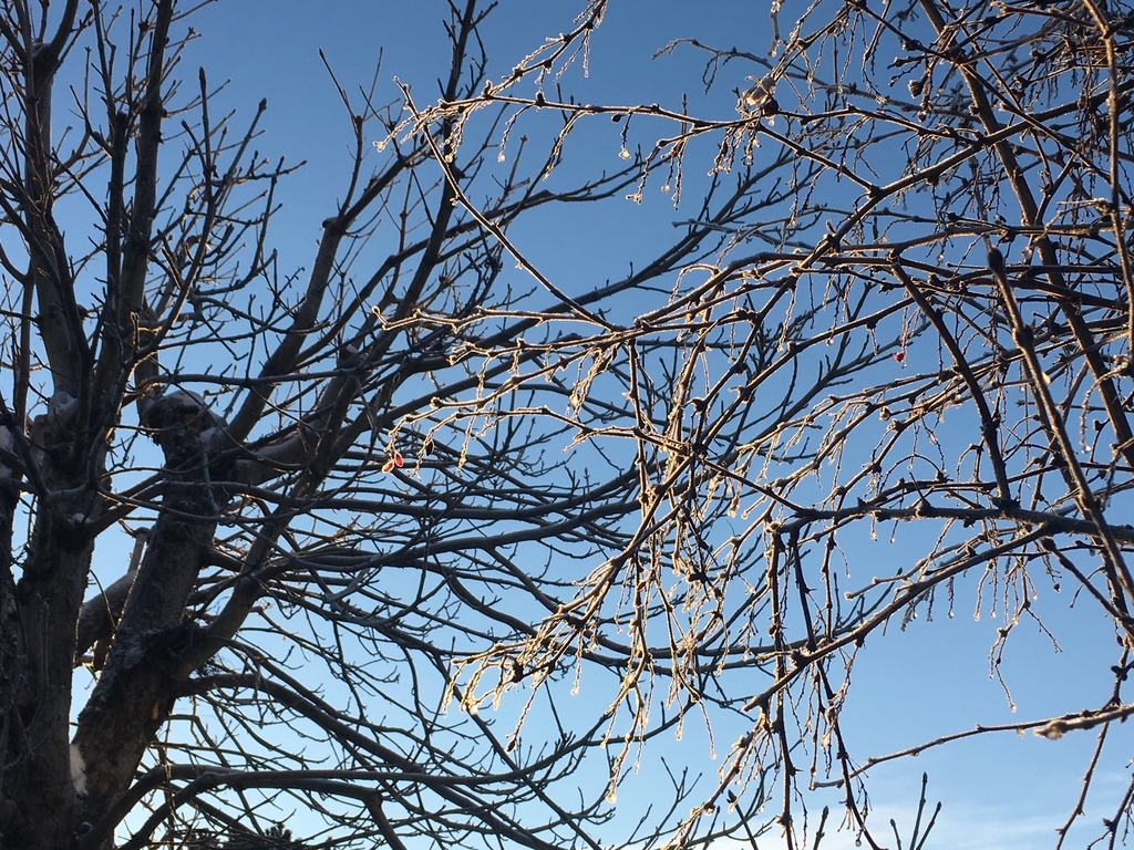 f:id:koakI:20190222110940j:plain f:id:koakI:20190222110940j:plain