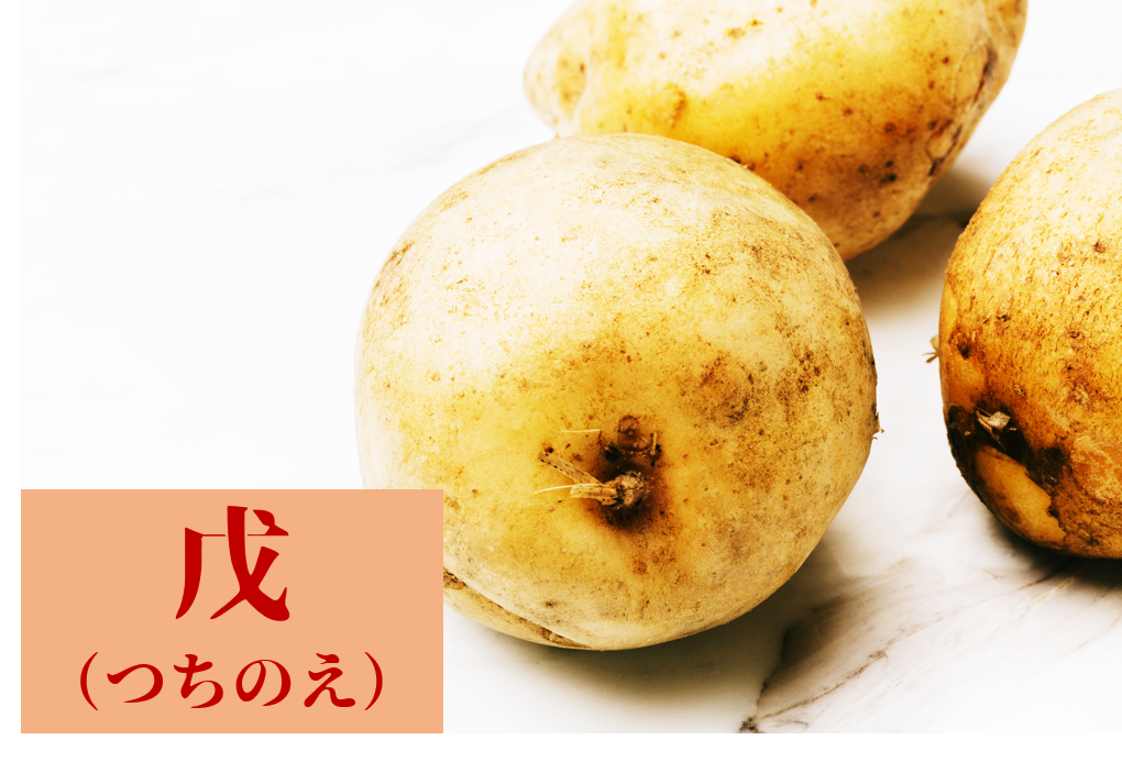 f:id:koala_log:20190710115132p:plain