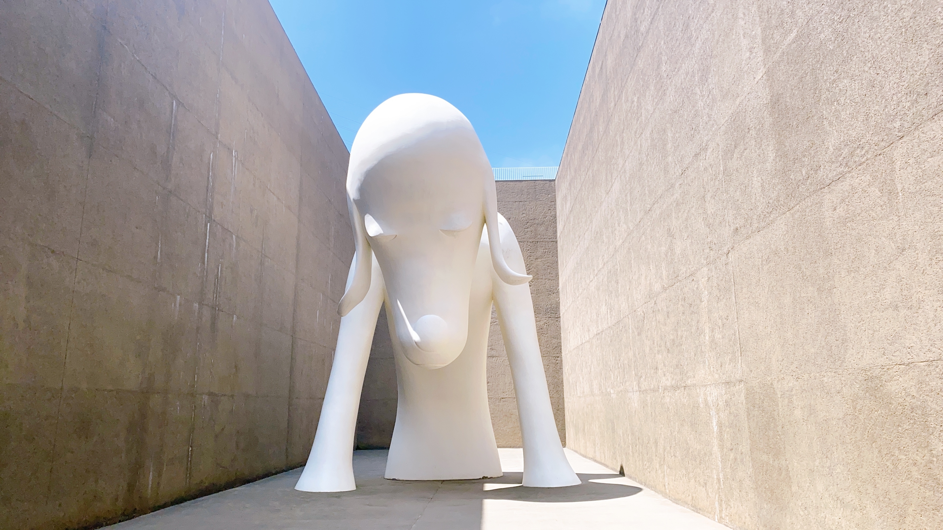 f:id:koala_log:20210829134103j:plain