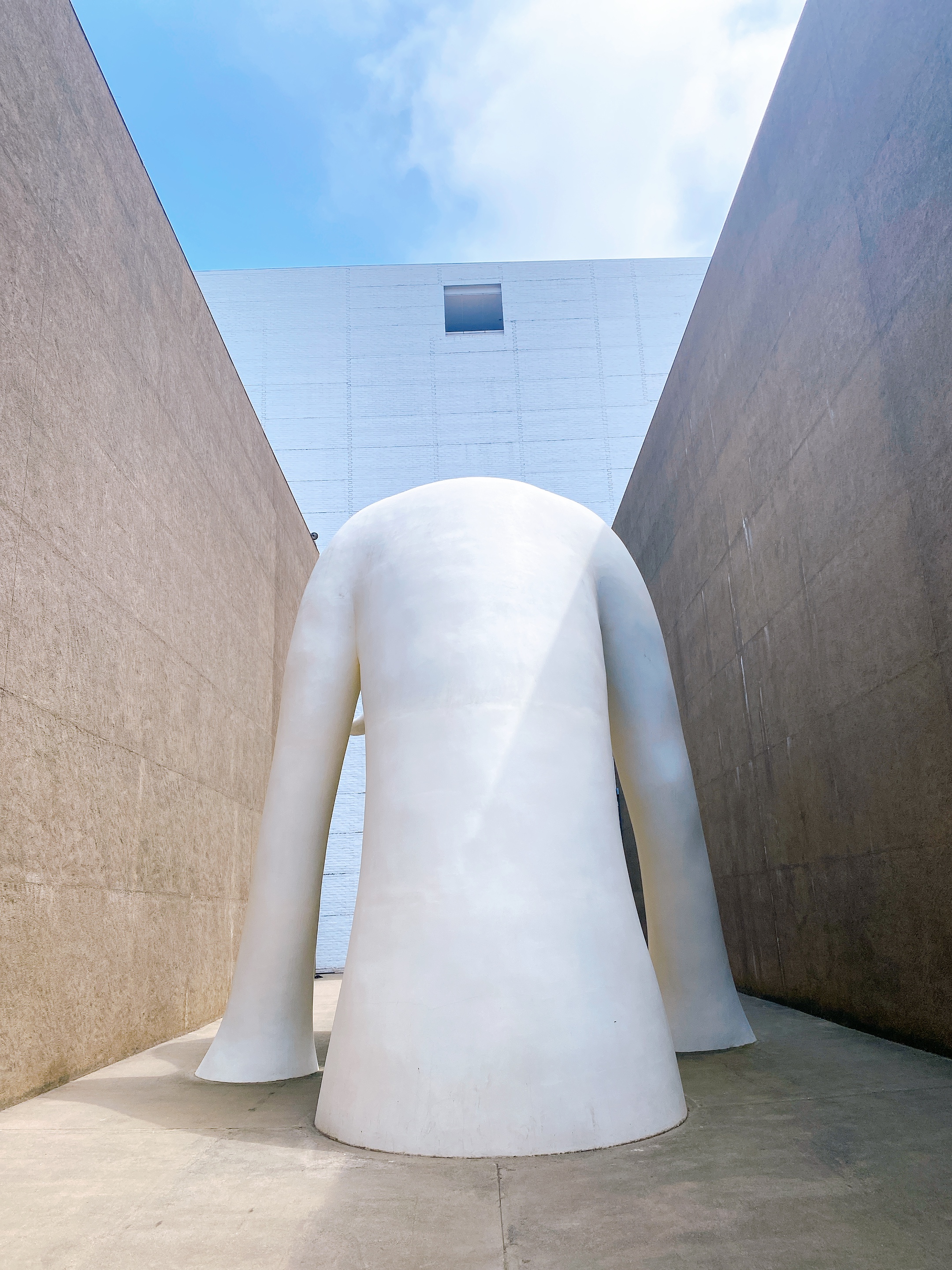 f:id:koala_log:20210829134450j:plain