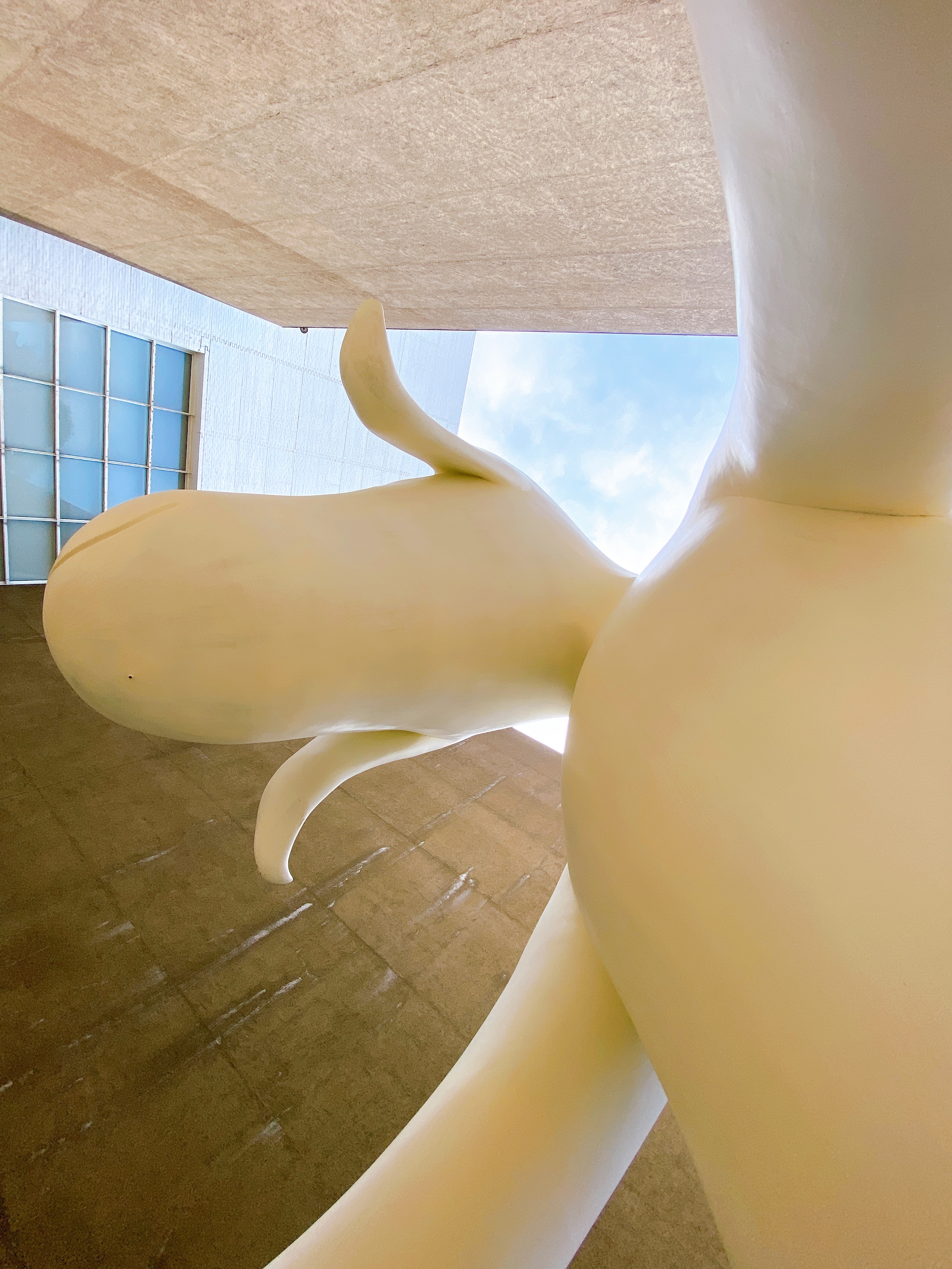 f:id:koala_log:20210829134528j:plain