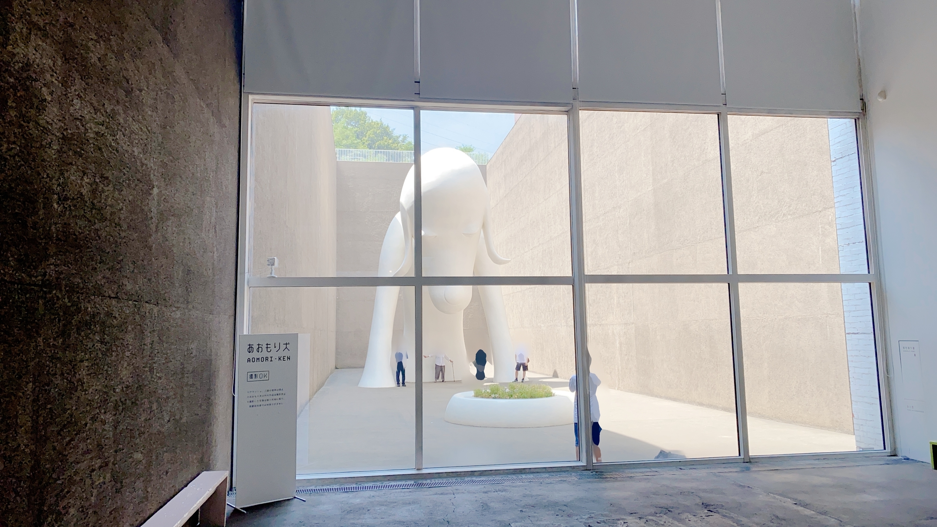 f:id:koala_log:20210829134947j:plain