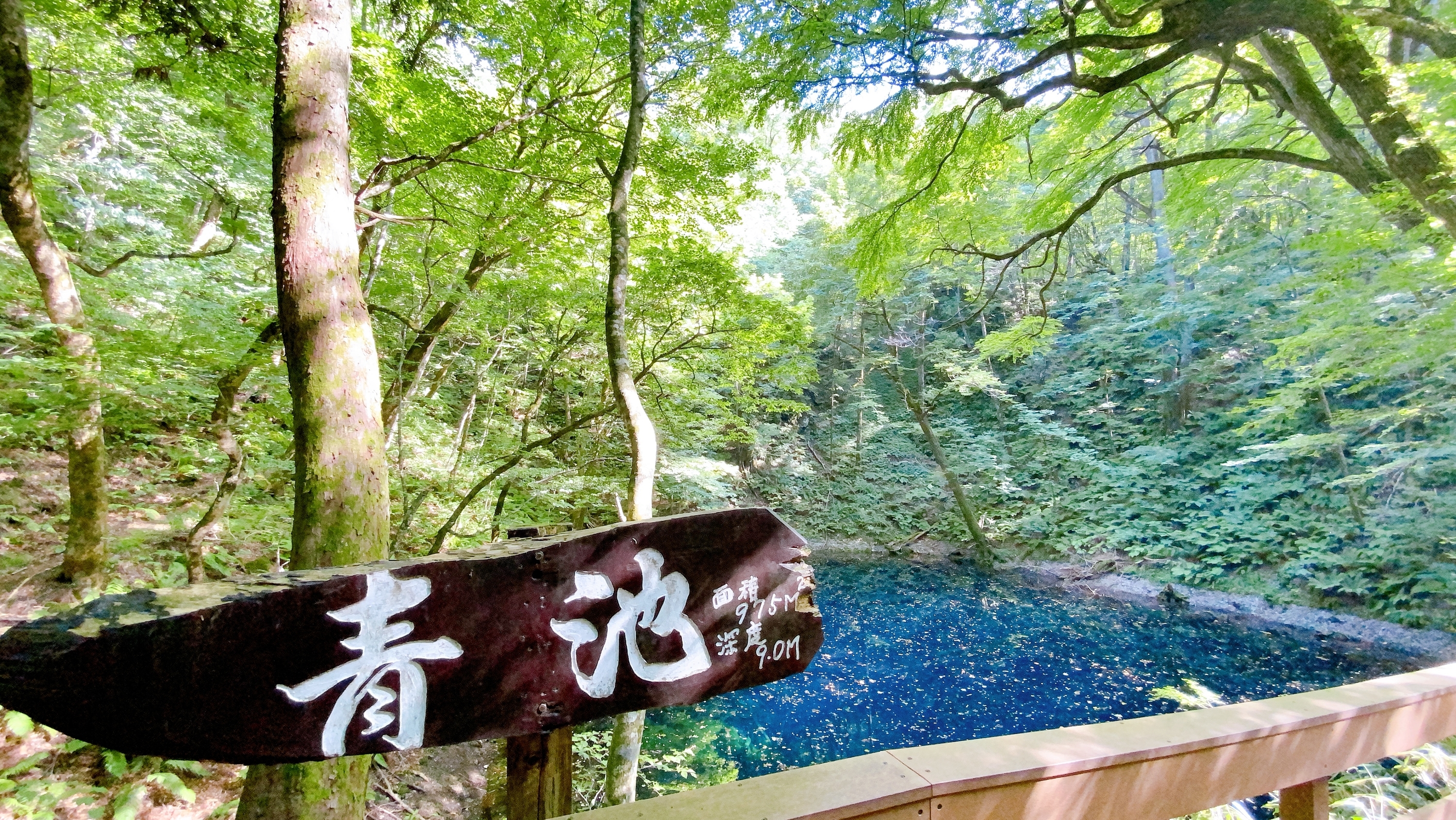 f:id:koala_log:20210831011136j:plain