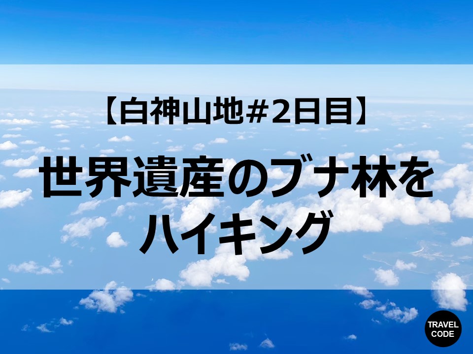 f:id:koala_log:20210903135929j:plain