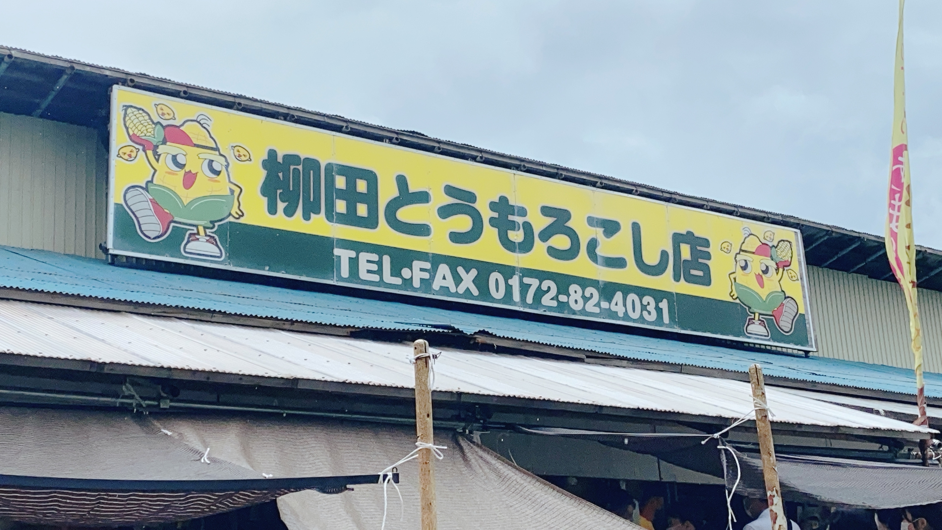 f:id:koala_log:20210903141212j:plain