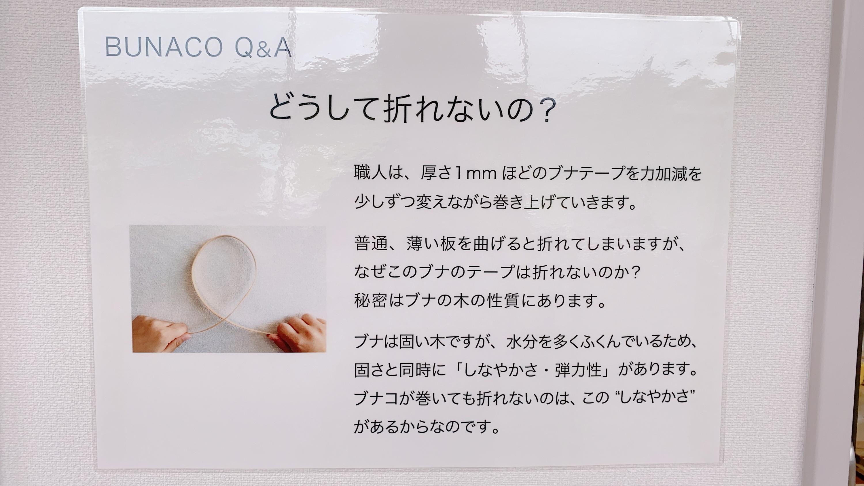 f:id:koala_log:20210903152419j:plain