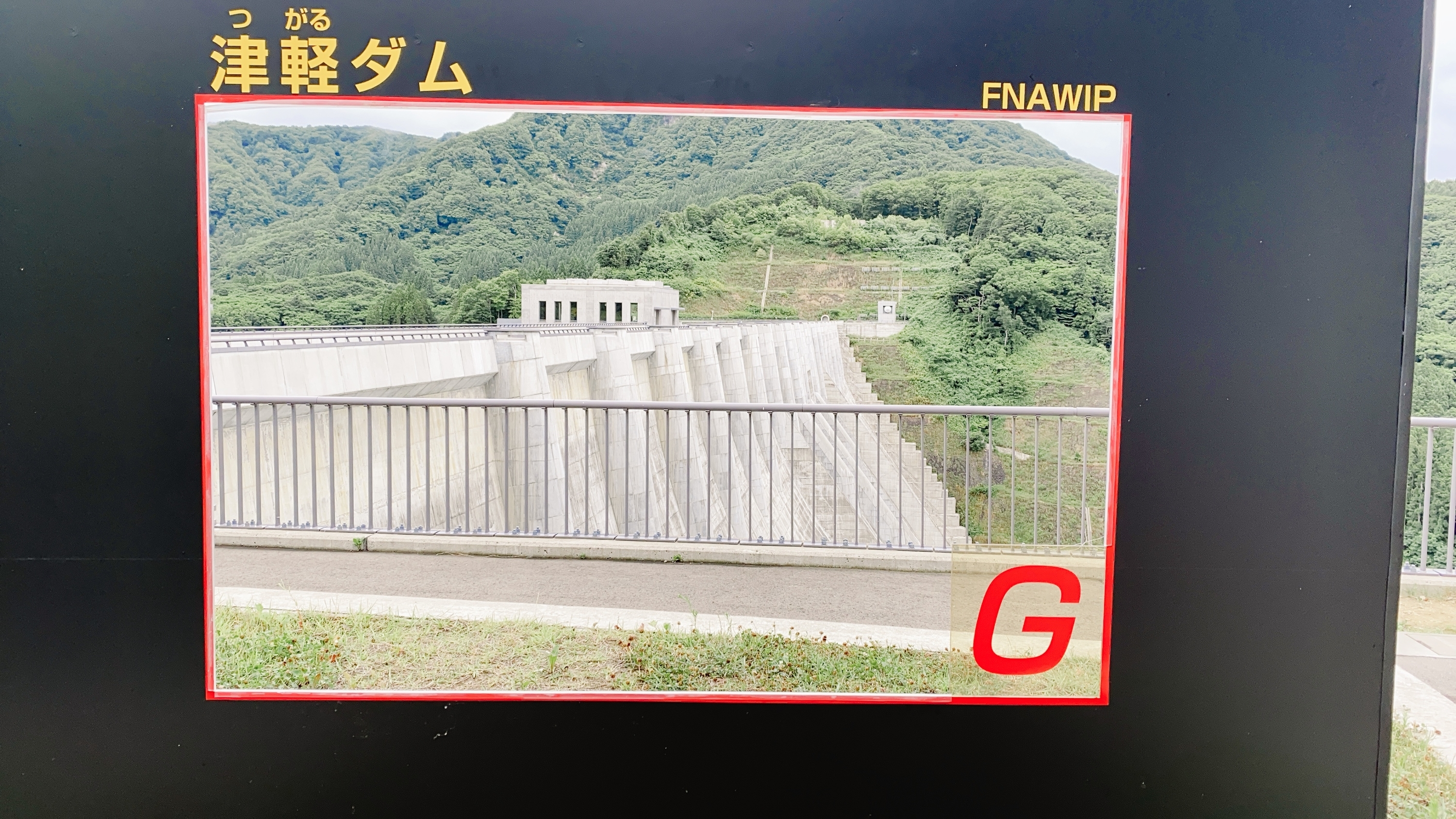 f:id:koala_log:20210903155816j:plain