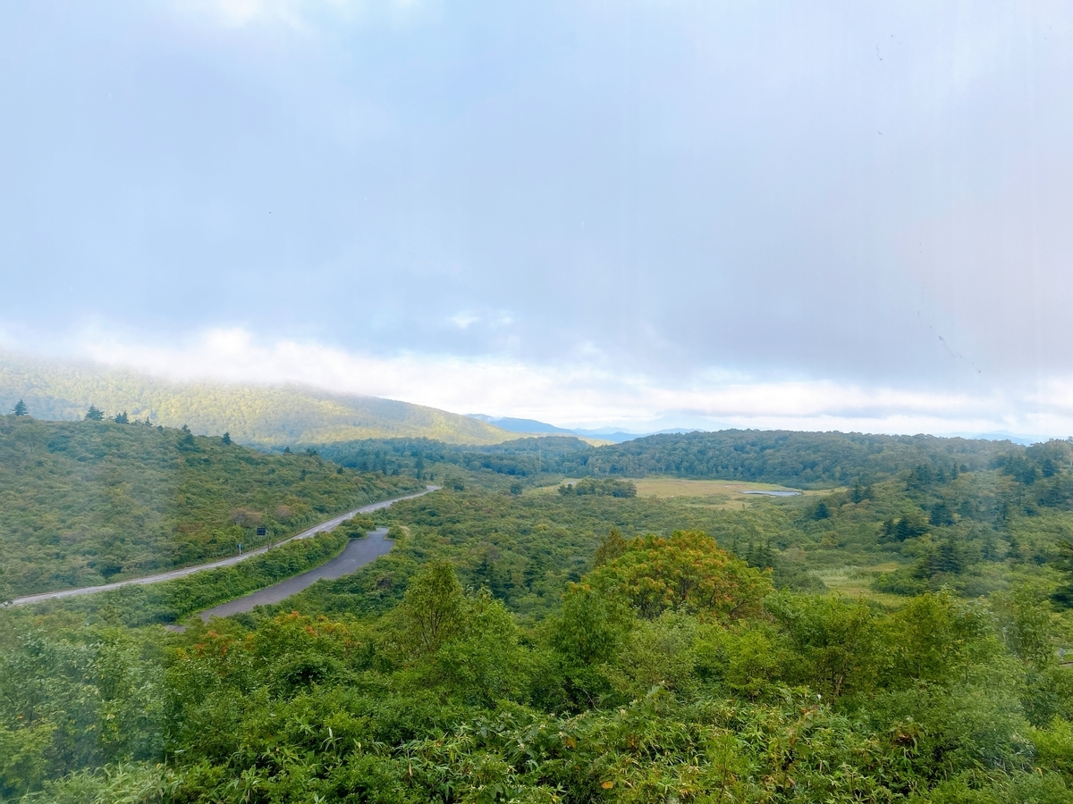 f:id:koala_log:20210924180541j:plain