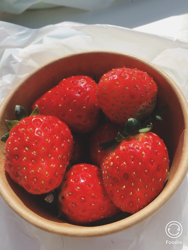 f:id:koalamarch:20211030141824j:image