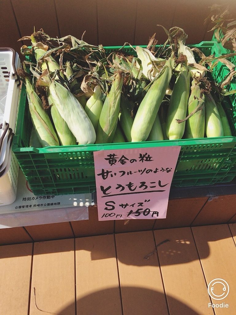 f:id:koalamarch:20211030143525j:image