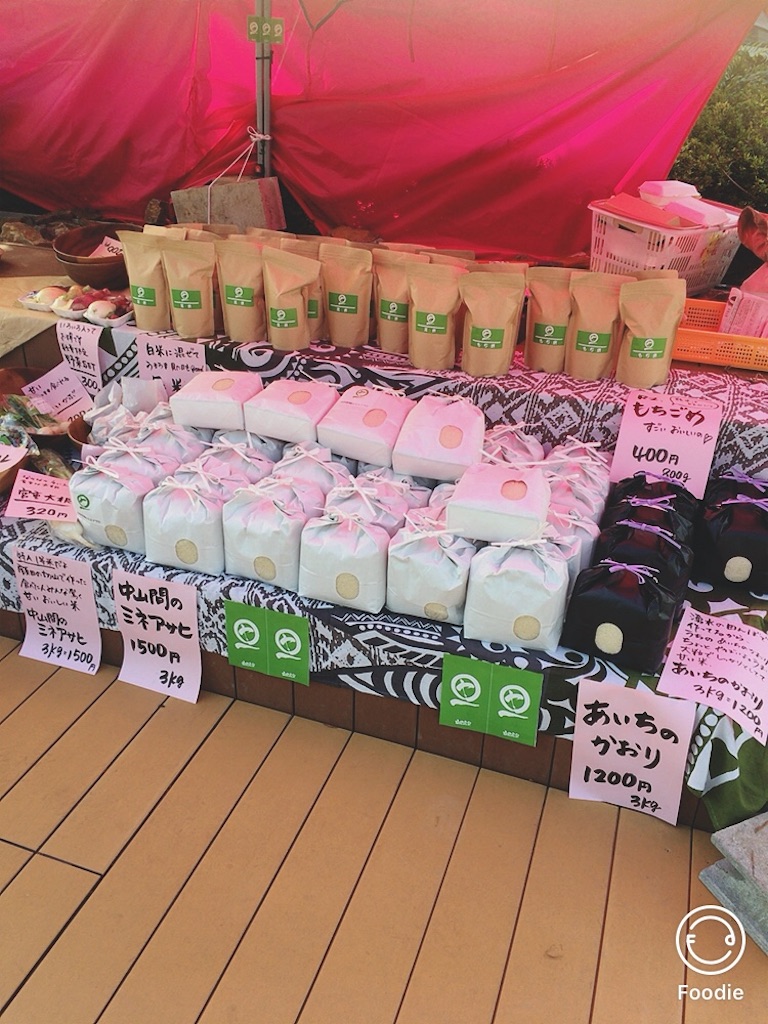 f:id:koalamarch:20211030144033j:image