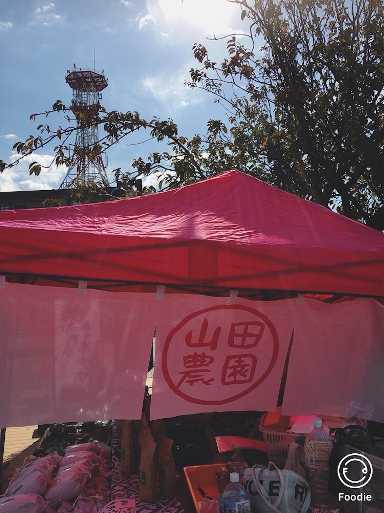 f:id:koalamarch:20211030144143j:image