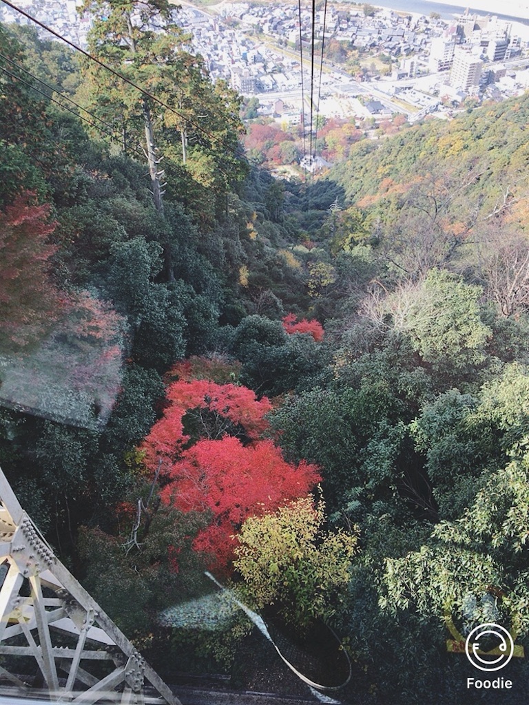 f:id:koalamarch:20211116164717j:image