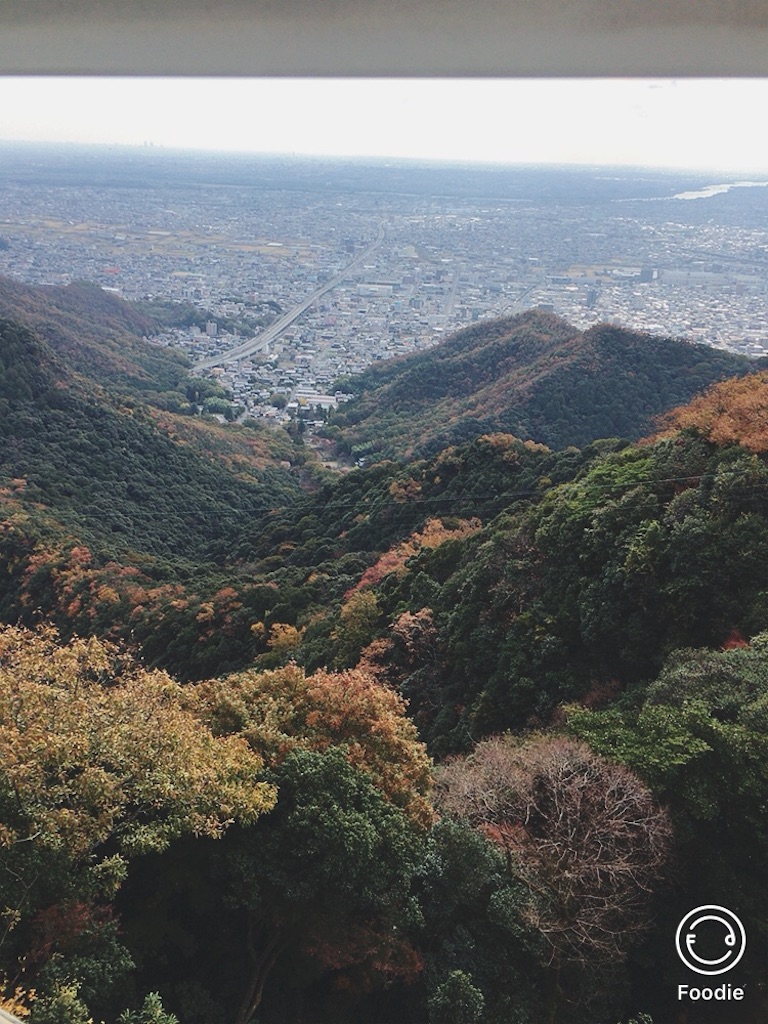 f:id:koalamarch:20211116165009j:image