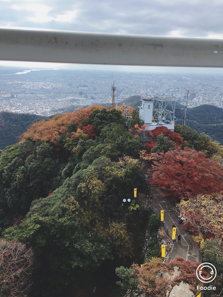 f:id:koalamarch:20211116165014j:image