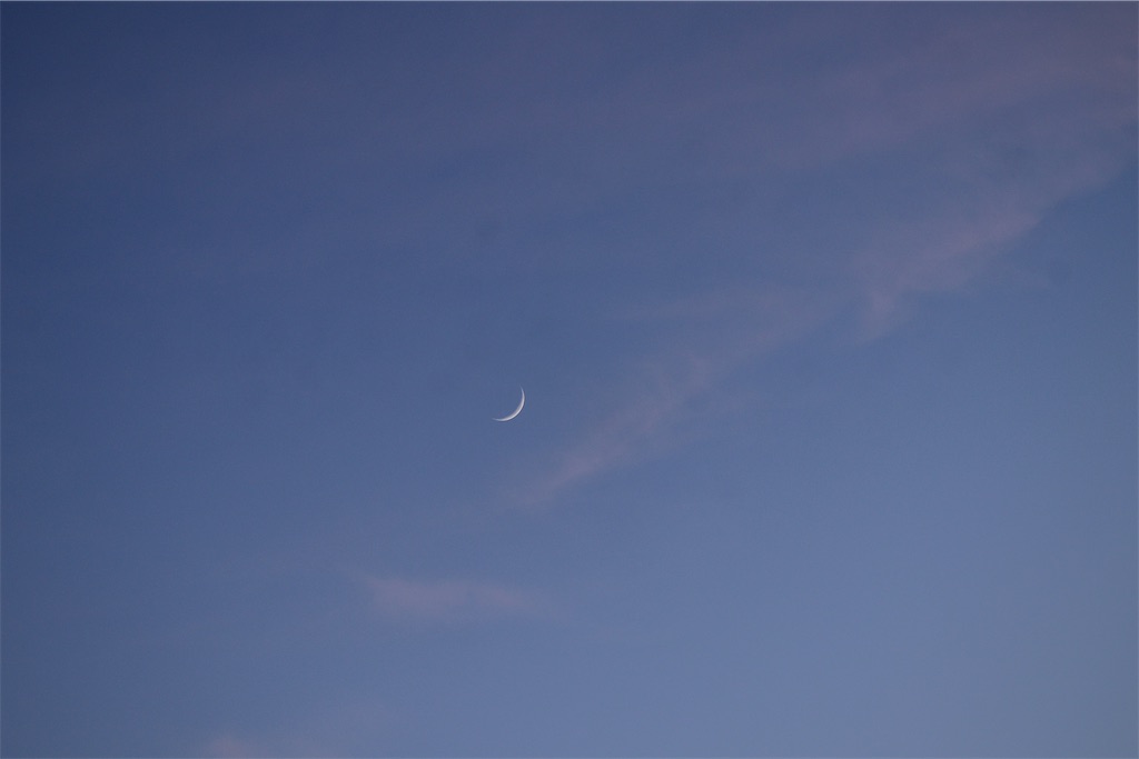 f:id:kob300m:20260426195230j:image f:id:kob300m:20260426195230j:image