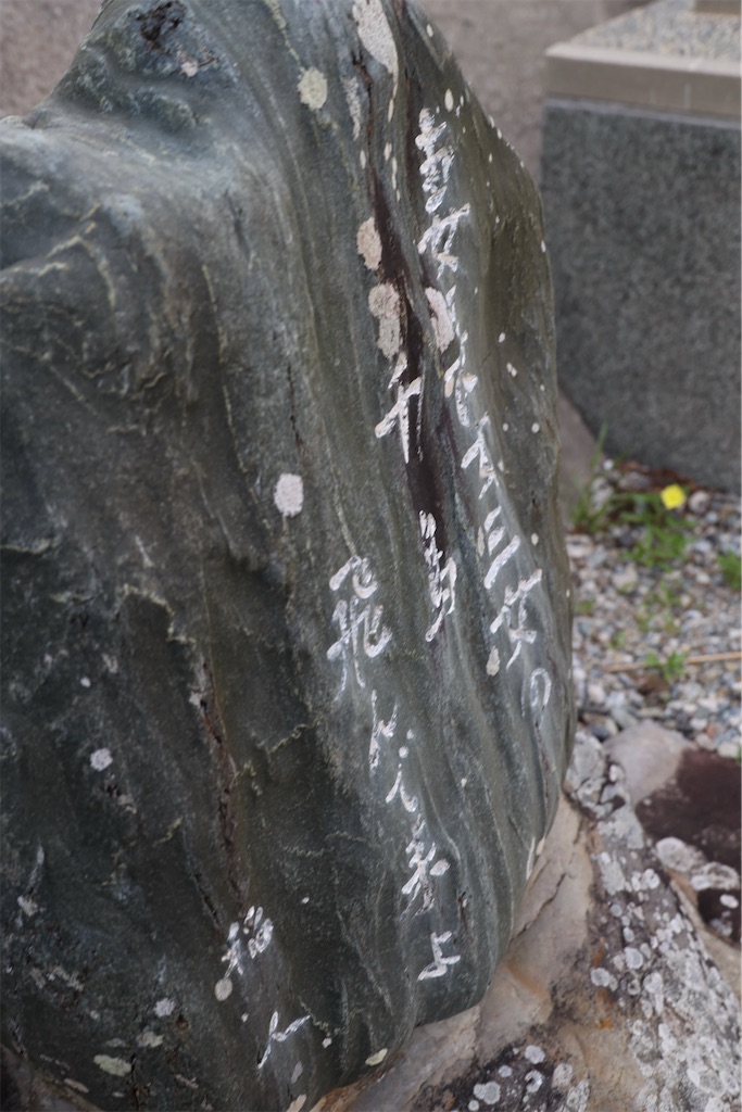 f:id:kob300m:20260621002422j:image f:id:kob300m:20260621002422j:image