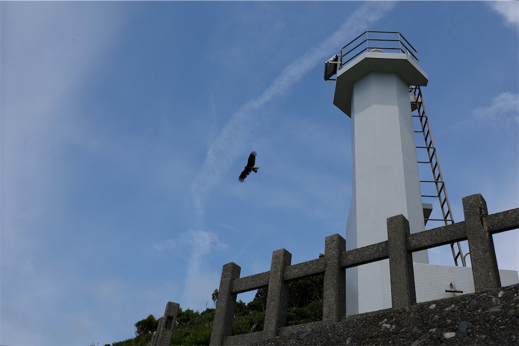 f:id:kob300m:20260801095426j:image f:id:kob300m:20260801095426j:image