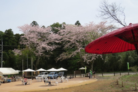 f:id:koba-sumiyoikai:20160410115445j:image f:id:koba-sumiyoikai:20160410115445j:image