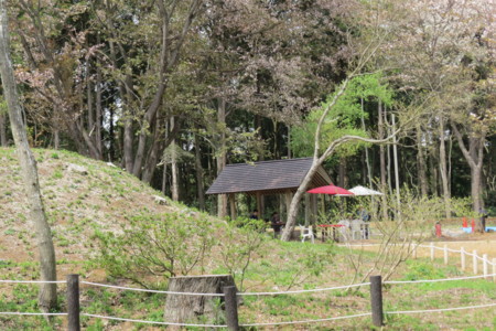 f:id:koba-sumiyoikai:20160410120320j:image f:id:koba-sumiyoikai:20160410120320j:image