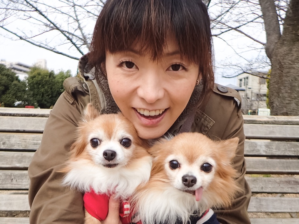 f:id:koba40:20170321213846j:image f:id:koba40:20170321213846j:image