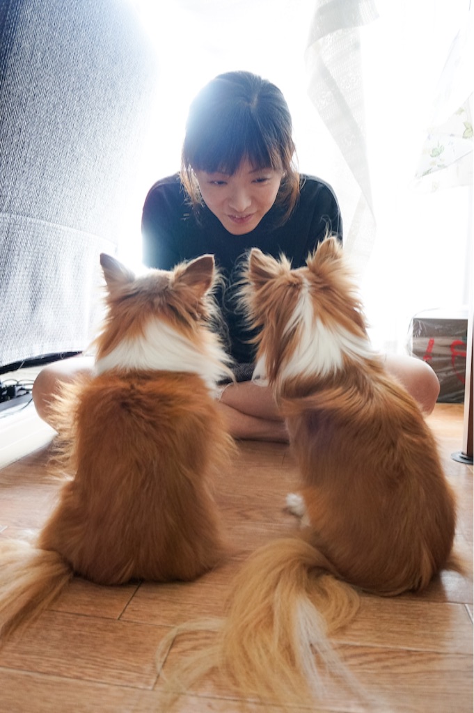 f:id:koba40:20170321213952j:image f:id:koba40:20170321213952j:image