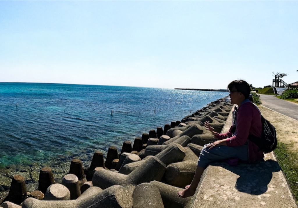 f:id:koba40:20170402235908j:image f:id:koba40:20170402235908j:image