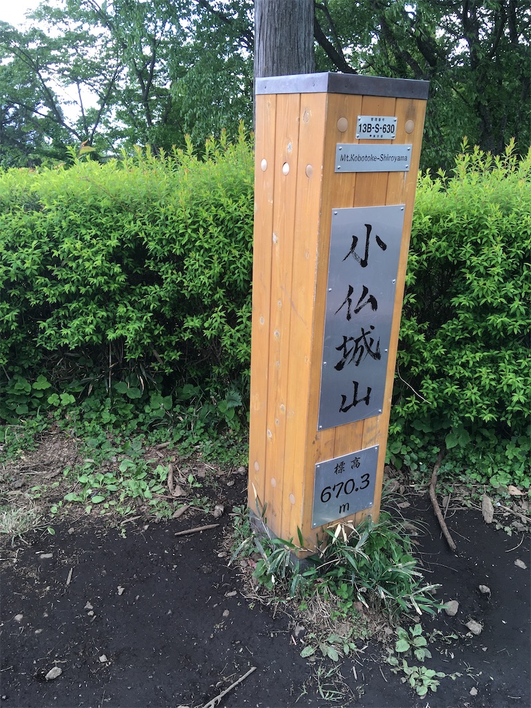 f:id:koba_tamako:20210510092149j:image