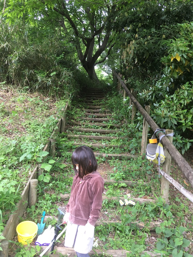 f:id:koba_tamako:20210510092208j:image