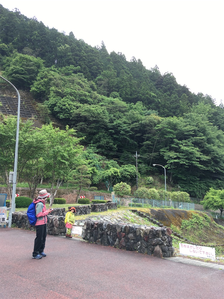 f:id:koba_tamako:20210518201534j:image