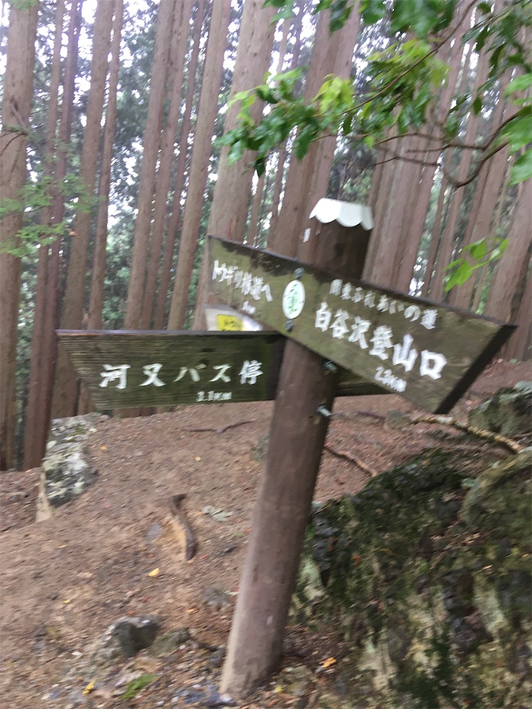f:id:koba_tamako:20210518201545j:image