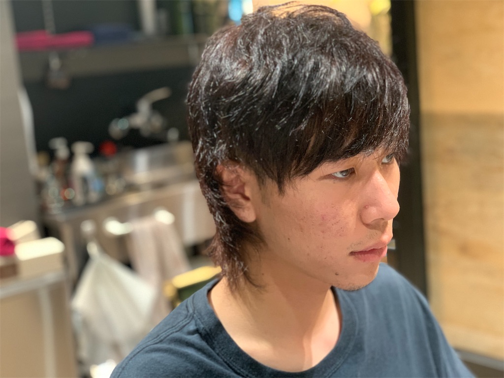f:id:kobahiro0703:20200708113639j:image