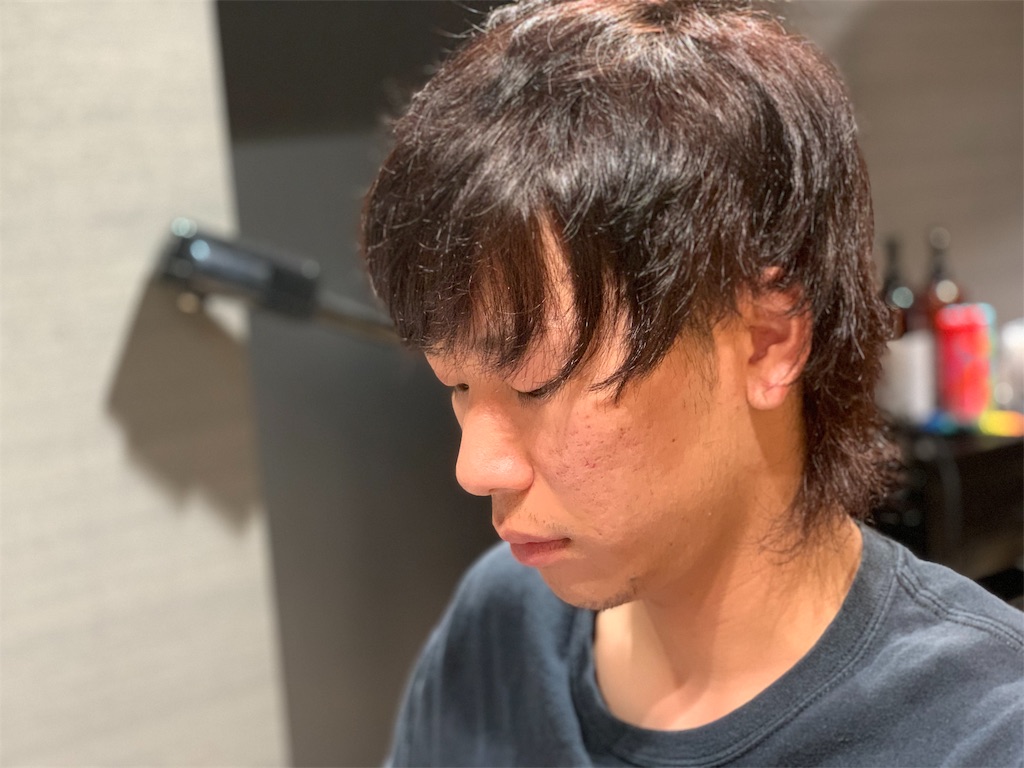 f:id:kobahiro0703:20200708114656j:image