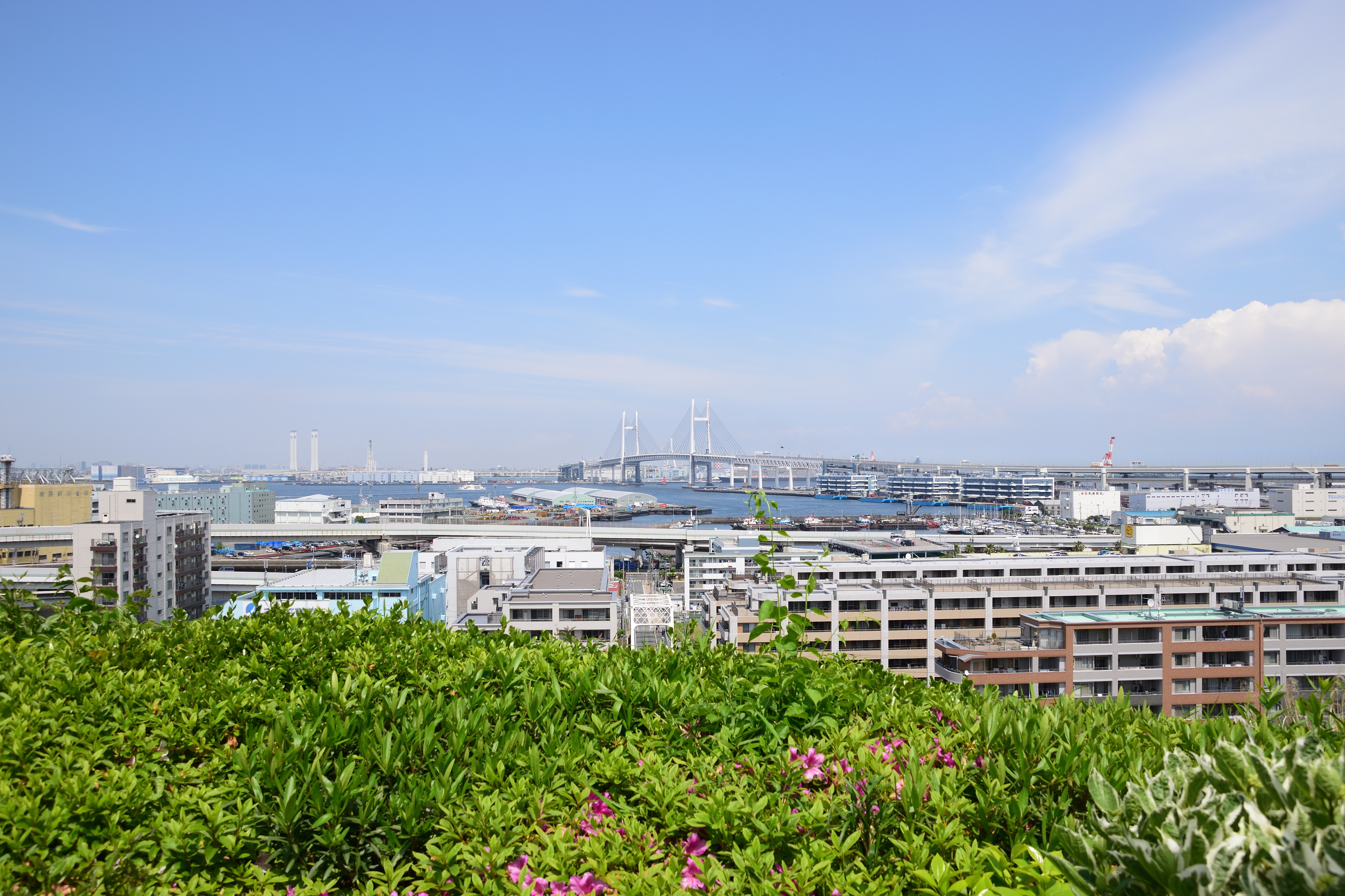 f:id:kobak:20190505124228j:plain