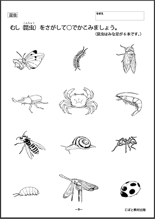 第94回 しぜん 昆虫 その他の生き物編 子どもに やる気をださせる教え方のコツ 第94回 しぜん 昆虫 その他の生き物編 子どもに やる気をださせる教え方のコツ